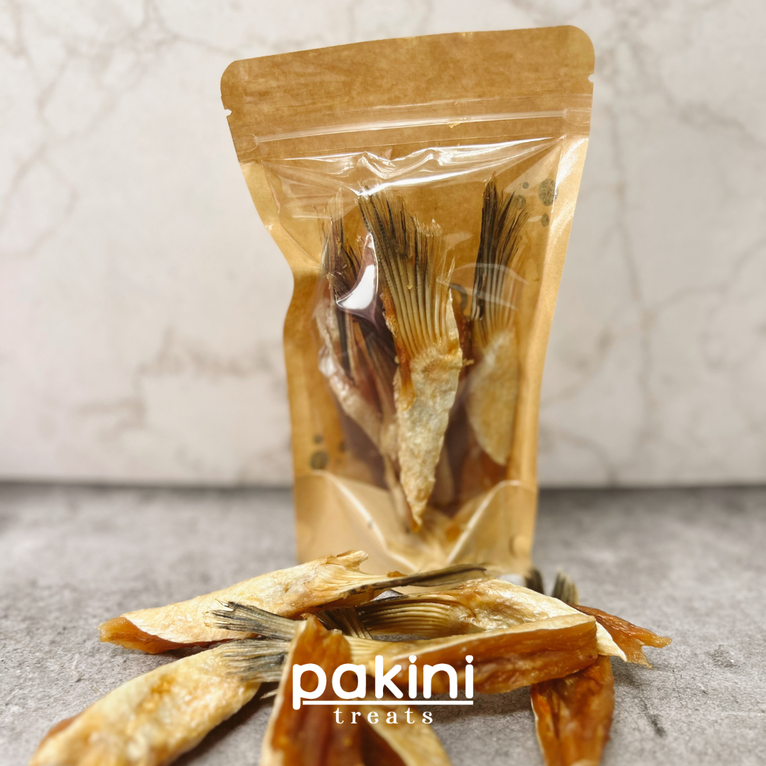 Aletas de Salmón (5pz)