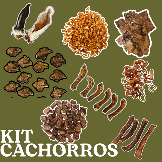 Kit: Cachorros