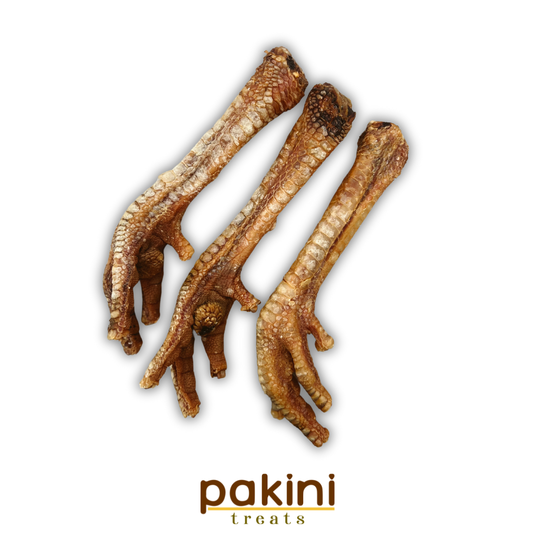 Pata de Pavo (1pz) - preorden se mandan el 8 de junio