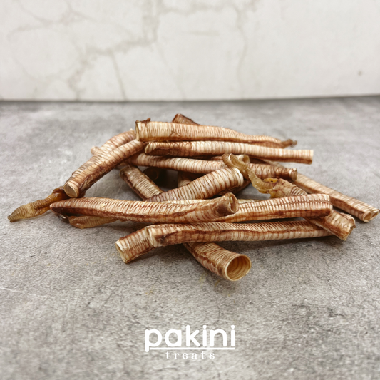 Tráquea de Pato (3pz)