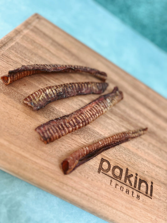 Tráquea de Ternera (1pz)